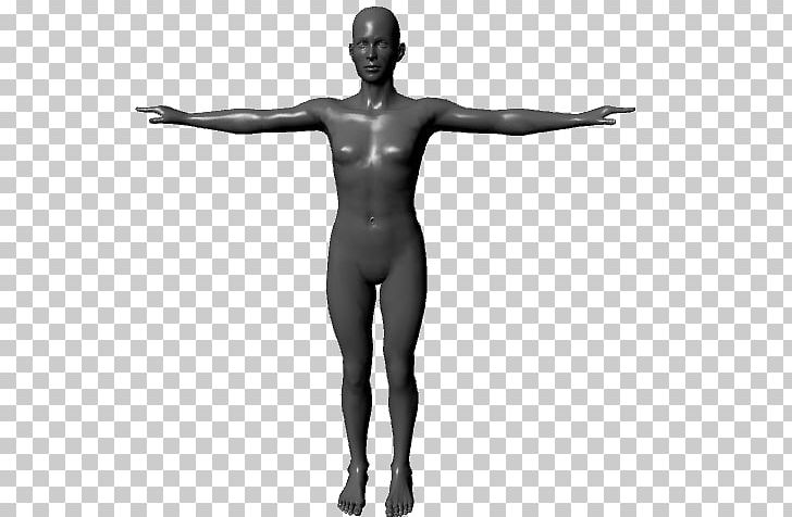 Human Body Homo Sapiens Anatomy 3D Computer Graphics Physiology PNG, Clipart, 3d Computer Graphics, 3d Modeling, Anatomy, Arm, Black And White Free PNG Download