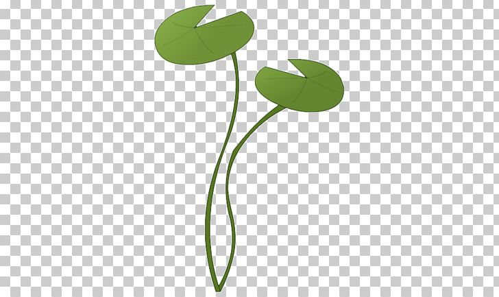 Leaf Plant Stem Flower PNG, Clipart, Flora, Flower, Grass, Green, Leaf Free PNG Download