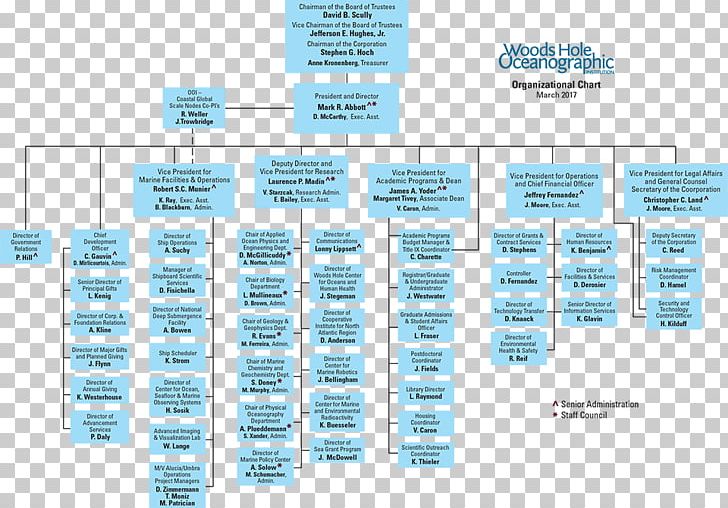 Organizational Chart Organizational Structure Business PNG, Clipart, Brand, Business, Chart, Diagram, Information Free PNG Download