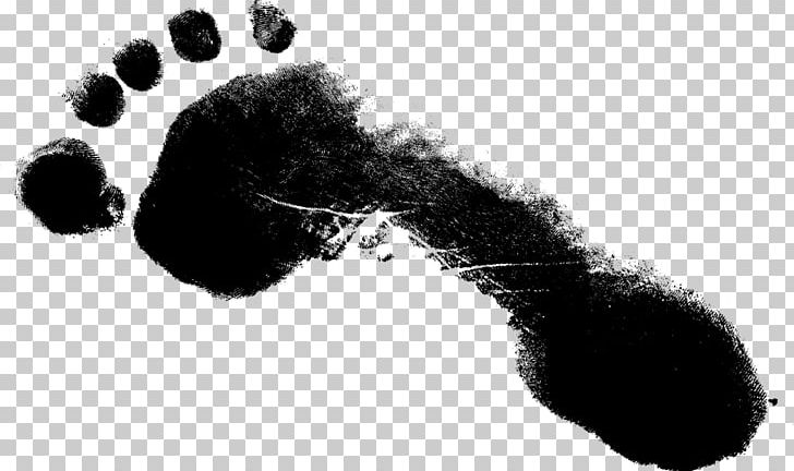 Footprint PNG, Clipart, Audio, Audio Equipment, Barefoot, Black And White, Display Resolution Free PNG Download