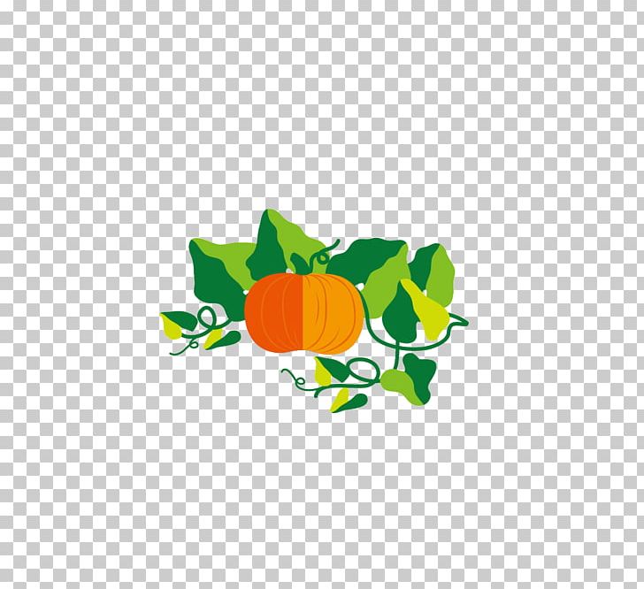 Pumpkin Food Gourd PNG, Clipart, Cartoon, Computer Wallpaper, Cucumber, Food, Gourd Free PNG Download