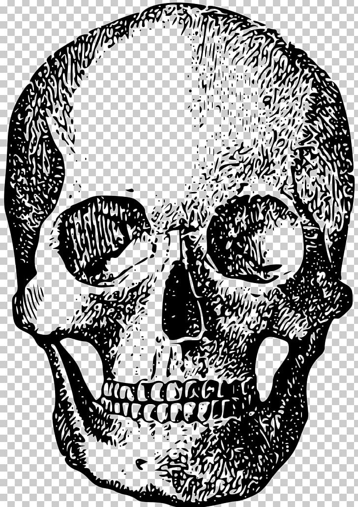 Skull Human Skeleton Bone PNG, Clipart, Black And White, Bone, Brush, Drawing, Facial Hair Free PNG Download