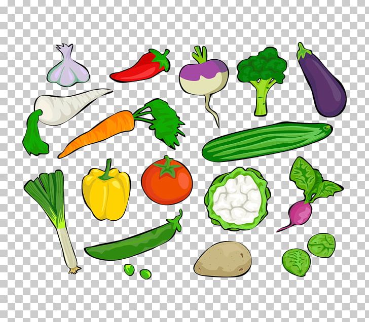 Vegetable Food Daikon PNG, Clipart, Animal Figure, Artwork, Beetroot, Carrot, Carrot Juice Free PNG Download