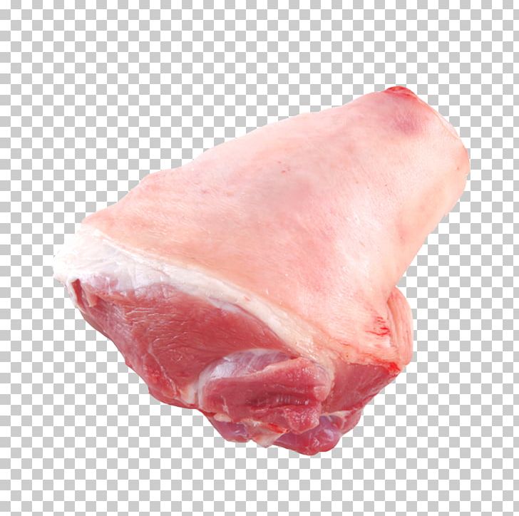 Domestic Pig Ham Prosciutto Meat Pork PNG, Clipart, Animal Fat, Animal Source Foods, Bayon, Boston Butt, Cartoon Free PNG Download