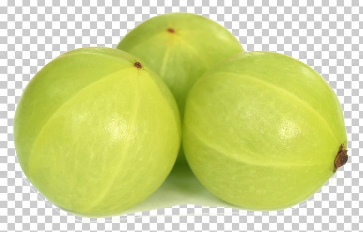 Fruit Indian Gooseberry Stock Photography PNG, Clipart, Amla, Drawing, Food, Fruit, Gooseberry Free PNG Download