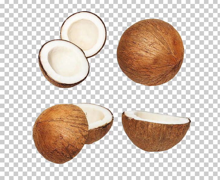 Nata De Coco Coconut Milk PNG, Clipart, Brown, Brown Coconut Shell, Coconut, Coconut Milk, Euclidean Vector Free PNG Download