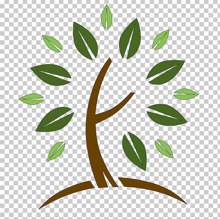 Homeopathy Аутсорсинг бухгалтерии Idea Leaf PNG, Clipart, Artwork, Branch, Clinic, Emblem, Employee Benefits Free PNG Download