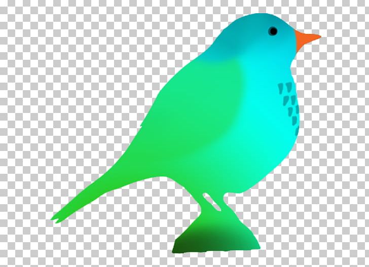 Hummingbird Parrot Color PNG, Clipart, Animal, Animals, Beak, Bird, Color Free PNG Download