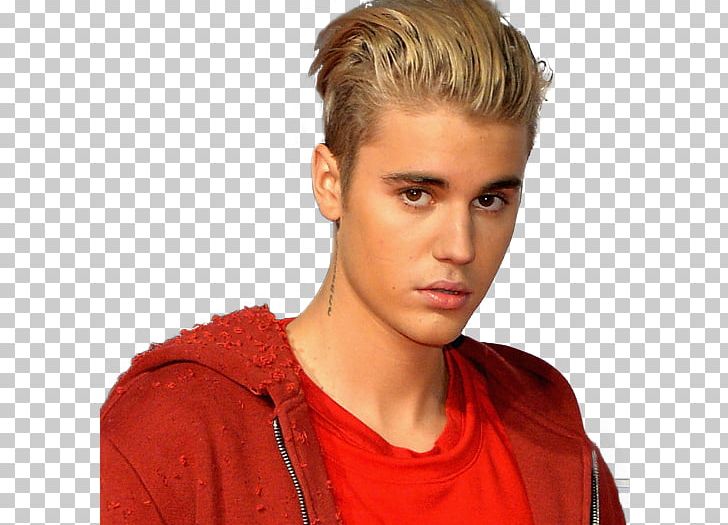Justin Bieber Singer-songwriter Purpose PNG, Clipart, Baby, Blond, Brown Hair, Chin, Desktop Wallpaper Free PNG Download
