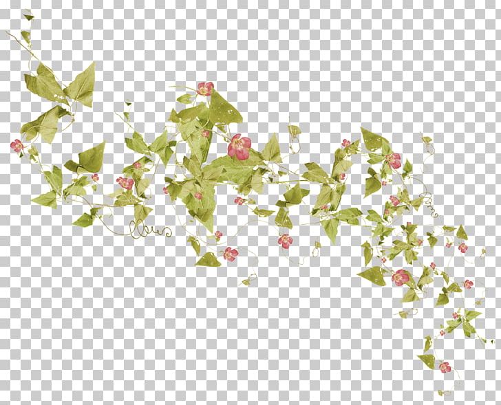 Leaf Branch Others PNG, Clipart, Branch, Encapsulated Postscript, Flora, Flower, Flower Garden Free PNG Download