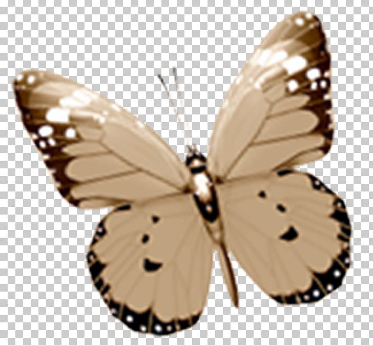 Thyroid Disorders And Related Health Conditions: Eight Intriguing Sections On The Metabolic Butterfly Insect Moth Pieridae PNG, Clipart, Brown, Brush Footed Butterfly, Butterfly, Insect, Insects Free PNG Download