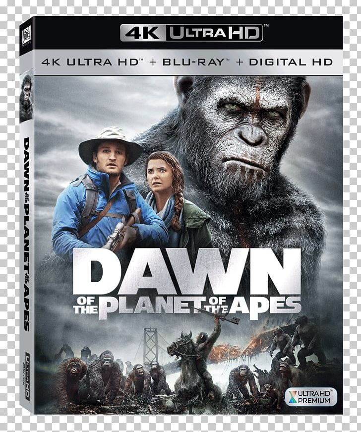 Ultra HD Blu-ray Blu-ray Disc Planet Of The Apes 4K Resolution Digital Copy PNG, Clipart, 4k Resolution, 20th Century Fox, Action Film, Bluray Disc, Dawn Of The Planet Of The Apes Free PNG Download