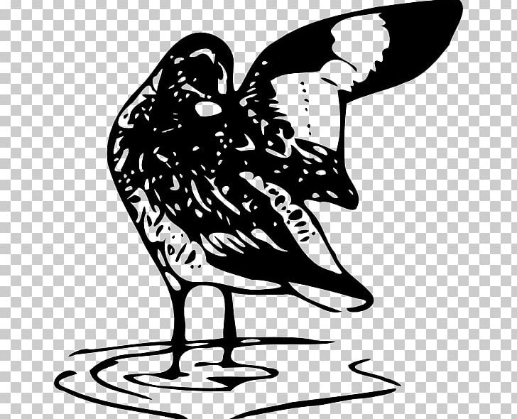 Willet Bird Line Art PNG, Clipart, Animals, Art, Artwork, Beak, Bird Free PNG Download