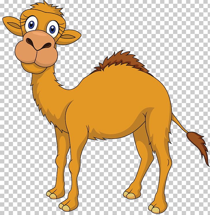 Camel Stock Photography PNG, Clipart, Animal Figure, Animals, Arabian Camel, Art, Camel Free PNG Download