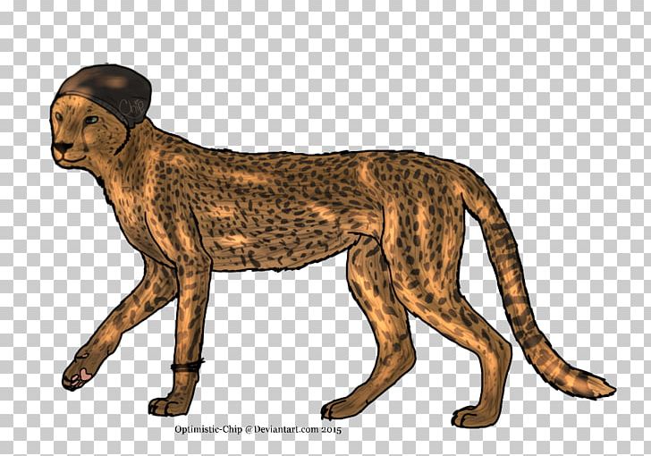 Cheetah Lion Cat Dog Terrestrial Animal PNG, Clipart, Animal, Animal Figure, Animals, Big Cat, Big Cats Free PNG Download