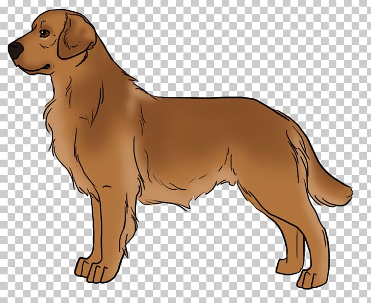 Nova Scotia Duck Tolling Retriever Golden Retriever Redbone Coonhound Puppy Dog Breed PNG, Clipart, Animals, Black And Tan Coonhound, Breed, Carnivoran, Companion Dog Free PNG Download