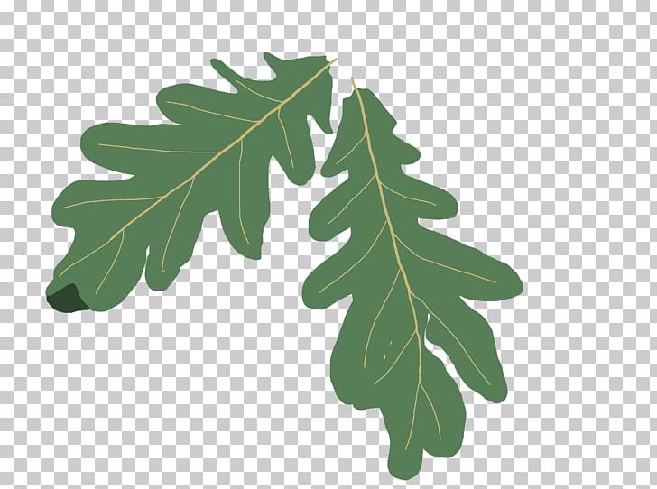 Quercus Coccinea English Oak Swamp Spanish Oak PNG, Clipart, Acorn, Autumn Leaf Color, Clip Art, English Oak, Free Content Free PNG Download