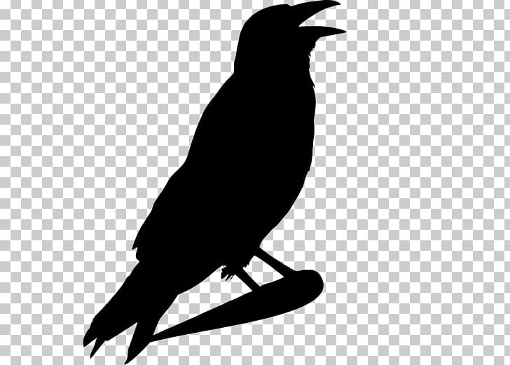 Crow Common Raven PNG, Clipart, American Crow, Animals, Beak, Bird, Black And White Free PNG Download