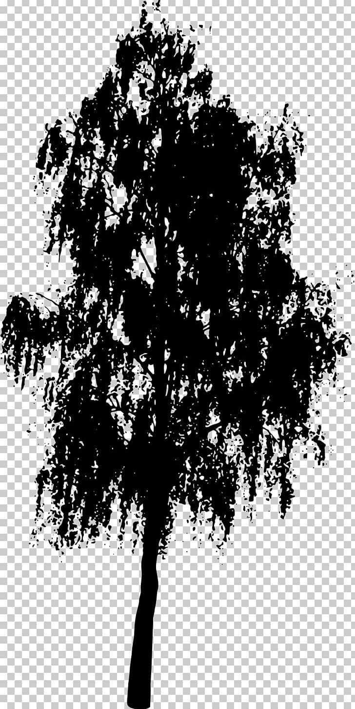 Silhouette Tree PNG, Clipart, Animals, Black And White, Branch, Bush, Drawing Free PNG Download