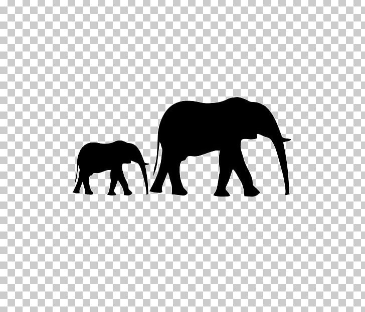 Asian Elephant Elephantidae African Bush Elephant Infant PNG, Clipart, African Elephant, Animals, Asian Elephant, Baby Elephant, Black And White Free PNG Download