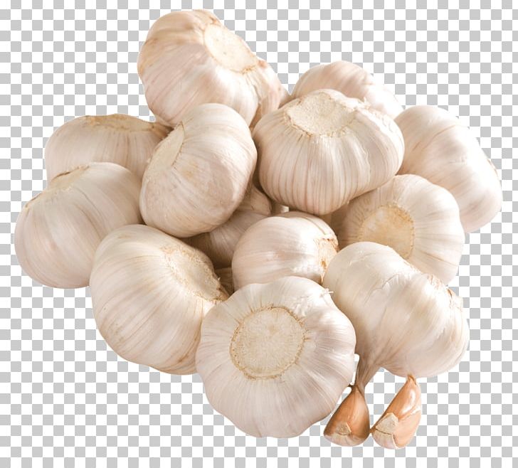 Garlic Potato Onion Vegetable Computer Icons PNG, Clipart, Computer Icons, Dish, Export, Food, Garlic Free PNG Download