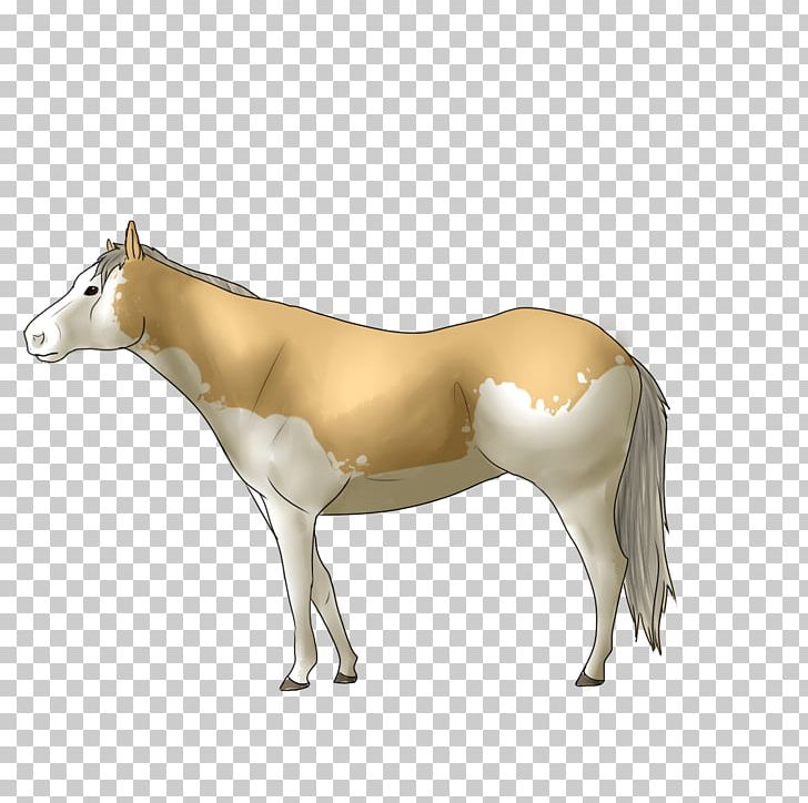 Mule Mustang Foal Stallion Mare PNG, Clipart, Animal Figure, Colt, Donkey, Foal, Halter Free PNG Download