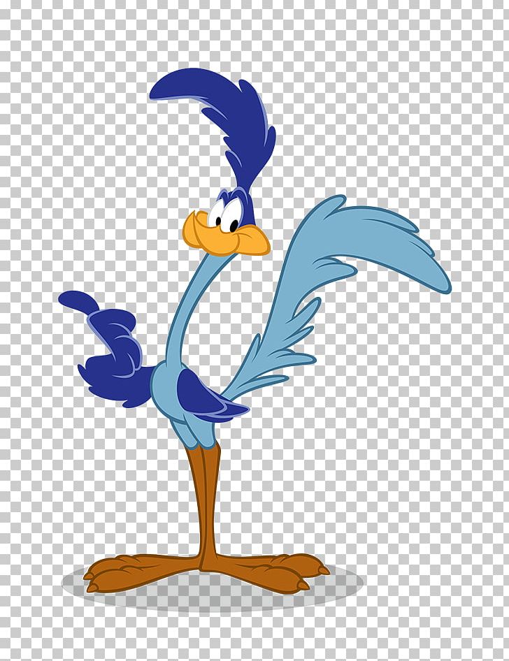 Wile E. Coyote And The Road Runner Greater Roadrunner PNG, Clipart, Animaniacs, Artwork, Beak, Beep Beep, Bird Free PNG Download