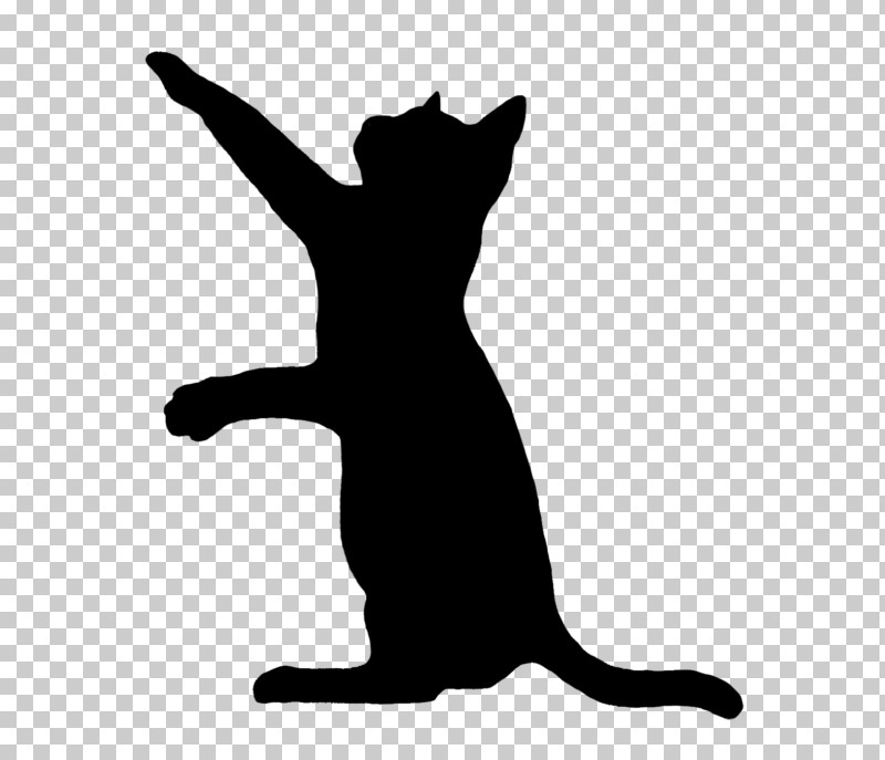 Cat Small To Medium-sized Cats Silhouette Tail Black Cat PNG, Clipart, Blackandwhite, Black Cat, Cat, Happy, Jumping Free PNG Download