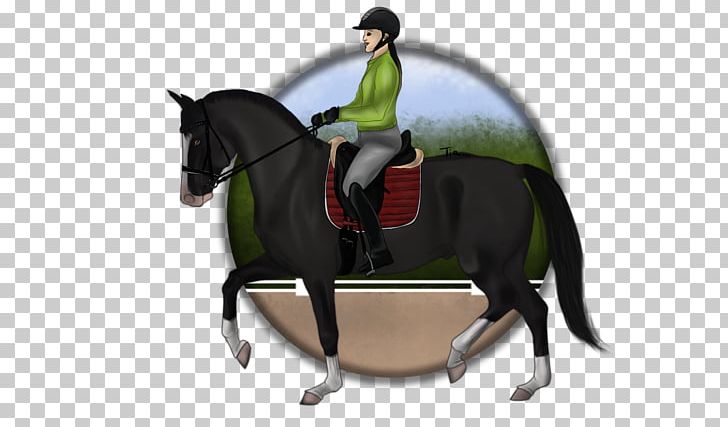 Bridle Stallion Horse Equestrian Halter PNG, Clipart, Animals, Bit, Bridle, Equestrian, Equestrianism Free PNG Download
