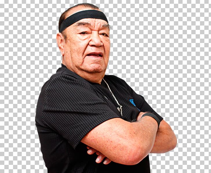 Triplemanía XXIII Lucha Libre AAA: Héroes Del Ring Lucha Libre AAA Worldwide Referee PNG, Clipart, 1992, Arm, Braces, Chin, Finger Free PNG Download