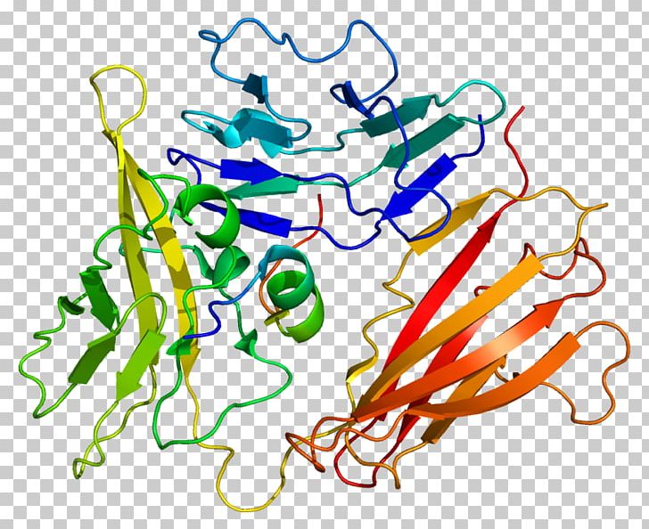 Interleukin-1 Family Interleukin 1 Receptor PNG, Clipart, Art, Artwork, Binding Site, Cytokine, Gene Free PNG Download