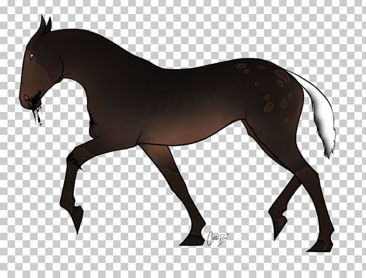 Mustang Foal Stallion Rein Mare PNG, Clipart, Bridle, Engl, Equestrian, Equestrian Sport, Fictional Character Free PNG Download