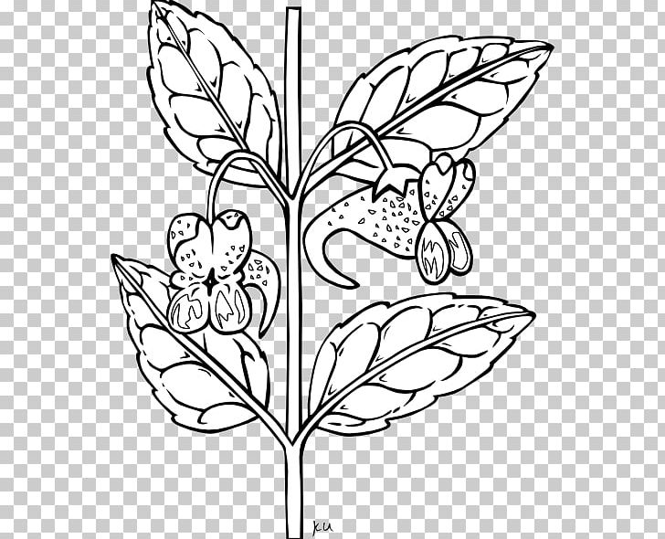 Plant Black And White PNG, Clipart, Area, Branch, Brush Footed Butterfly, Color, Fictional Character Free PNG Download