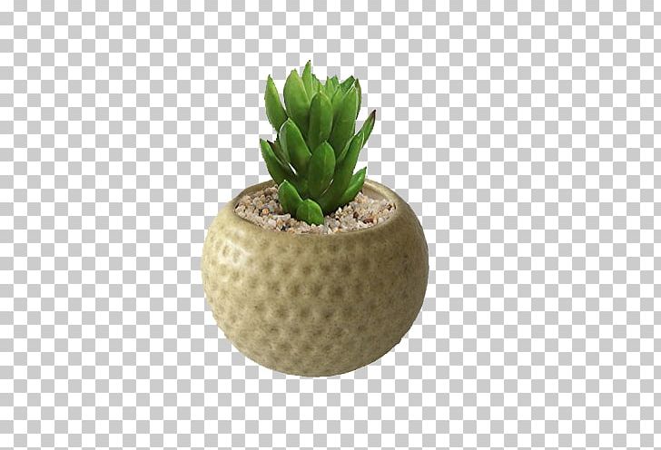 Flowerpot Ceramic Pottery Porcelain Garden PNG, Clipart, Ceramic, Com, Craft, Cup, Flower Free PNG Download