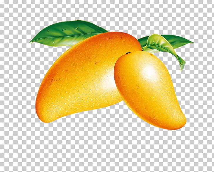 Ice Cream Mango Fruit PNG, Clipart, Auglis, Cut Mango, Diet Food, Download, Dried Mango Free PNG Download