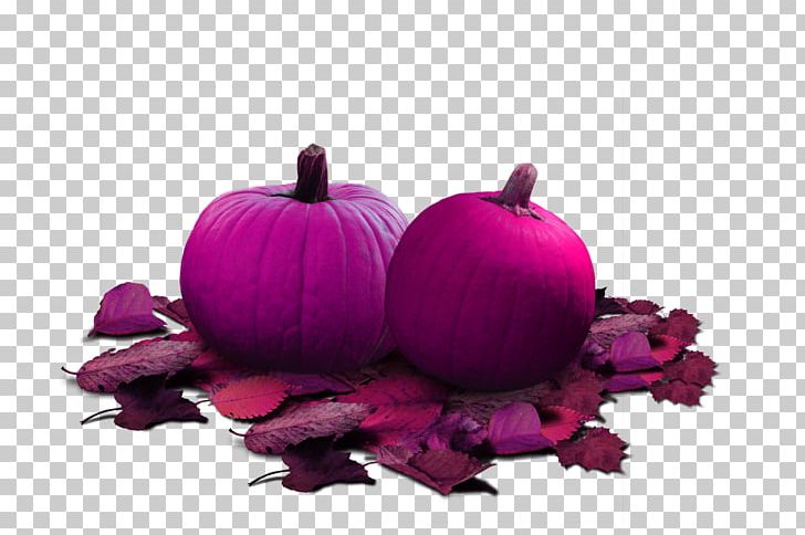 Jps Berry And Pumpkin Patch Halloween PNG, Clipart, Cucurbita, Display Resolution, Download, Flower, Food Free PNG Download