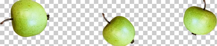 Apple PNG, Clipart, Apple, Apple Fruit, Apple Logo, Auglis, Background Green Free PNG Download