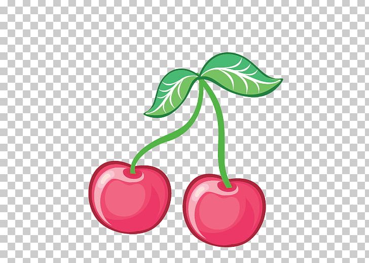 Cherry Fruit Cerasus PNG, Clipart, Blossoms Cherry, Cartoon, Cartoon Fruit, Cherries, Cherry Flower Free PNG Download