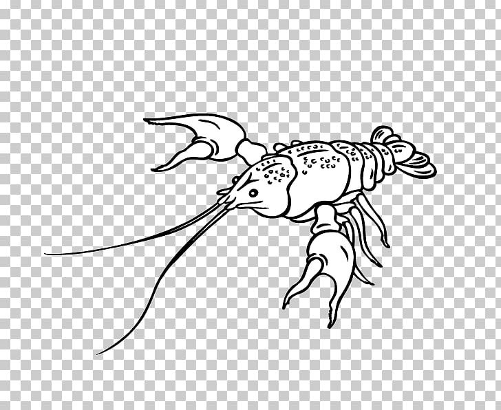 Xuyi County Homarus Cdr Palinurus Elephas PNG, Clipart, Animals, Black, Cartoon, Cdr, Encapsulated Postscript Free PNG Download