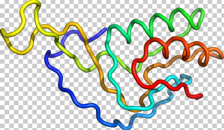 Organism Line PNG, Clipart, Area, Art, Line, Organism, Pn03 Free PNG Download