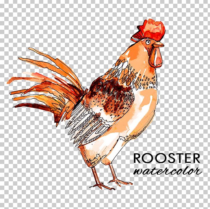 Rooster Chicken Flower Icon PNG, Clipart, 2017 Big Cock, Alphabet, Animals, Badminton Shuttle Cock, Beak Free PNG Download