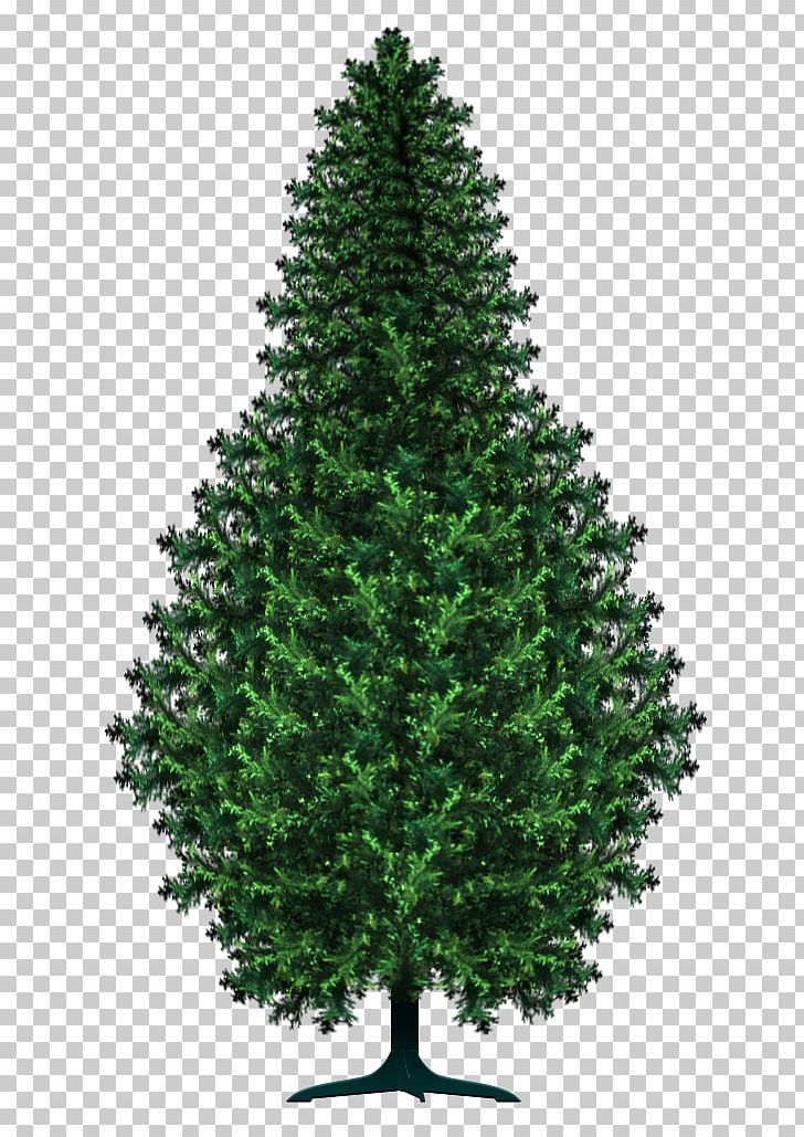 Spruce Pine Christmas Tree Art PNG, Clipart, Art, Artist, Arvores, Biome, Brush Free PNG Download