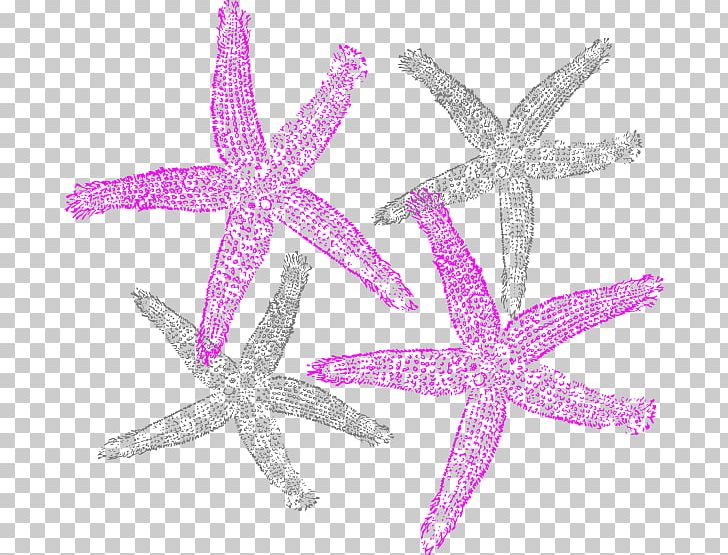 Starfish PNG, Clipart, Animals, Color, Computer Icons, Coral, Desktop Wallpaper Free PNG Download