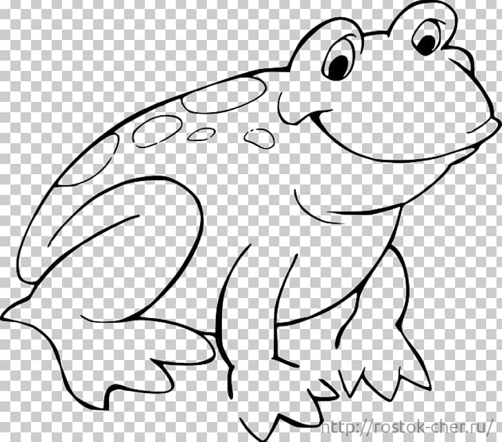 Tree Frog Coloring Book Child PNG, Clipart, Adult, Alligator, Amphibian, Animals, Cartoon Free PNG Download