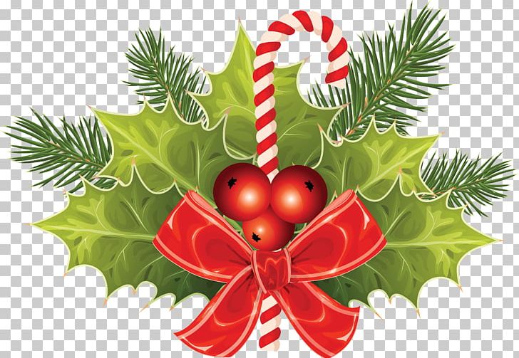 Candy Cane Christmas PNG, Clipart, Candy Cane, Christmas Decoration, Fruit, Holidays, Natural Foods Free PNG Download