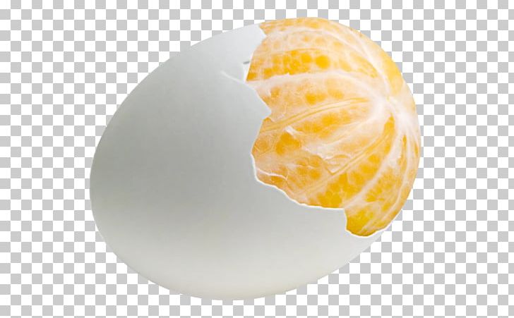 Chicken Egg Egg Of Columbus PNG, Clipart, Chicken Egg, Download, Easter Egg, Easter Eggs, Egg Free PNG Download
