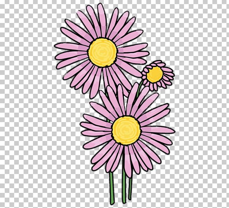 Common Daisy Drawing Flower PNG, Clipart, Aster, Aster Amellus, Chrysanths, Common Daisy, Common Sunflower Free PNG Download