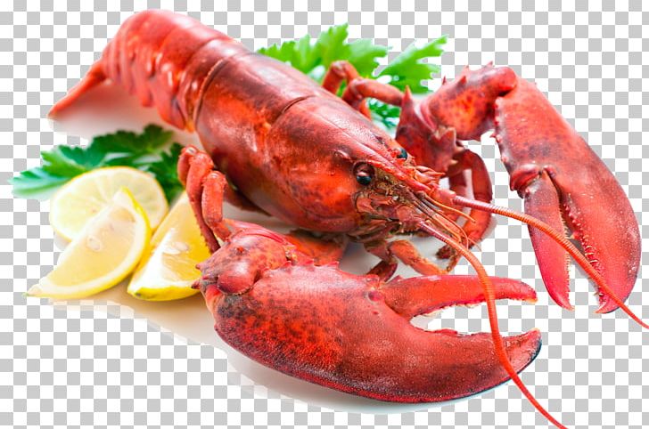 Lobster Roll Pancake Bisque Crab Cake PNG, Clipart, American Lobster, Animals, Animal Source Foods, Cajun Food, Caridean Shrimp Free PNG Download