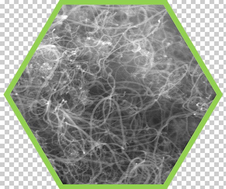 Synthesis Of Carbon Nanotubes Nanocső Nanoparticle PNG, Clipart, Carbon, Carbon Nanotube, Composite Material, Grass, Green Free PNG Download