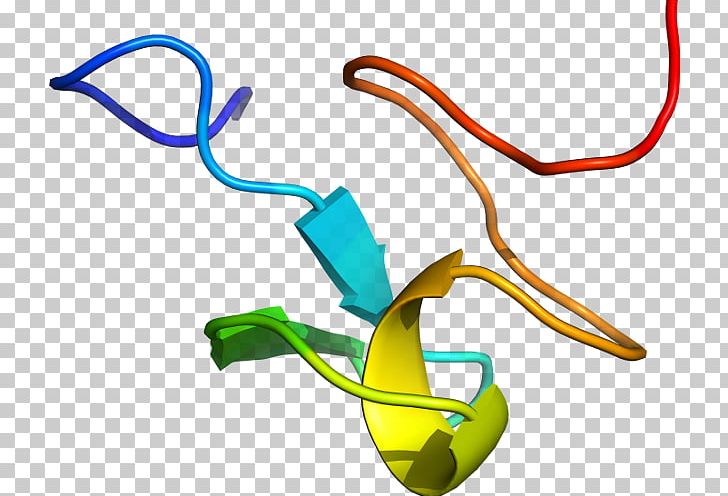 Product Design Line PNG, Clipart, Area, Cyclindependent Kinase 2, Line, Yellow Free PNG Download